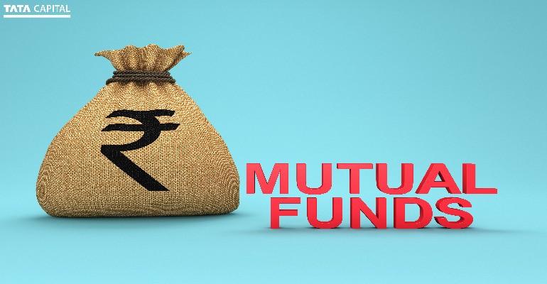What is Blue Chip Fund?