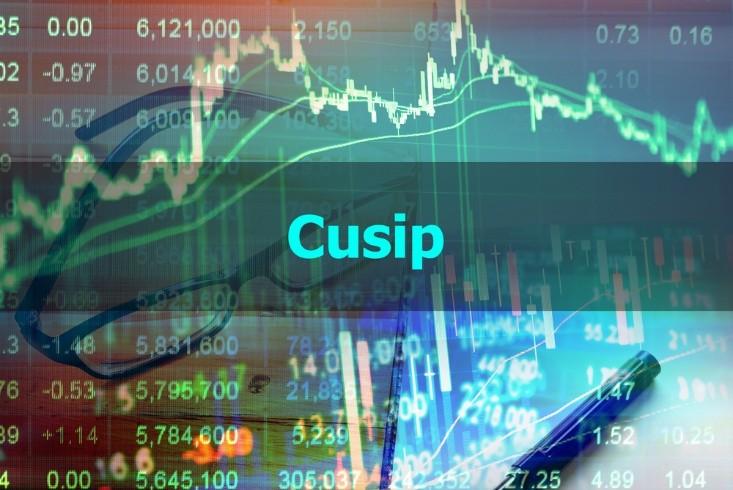What is a CUSIP number